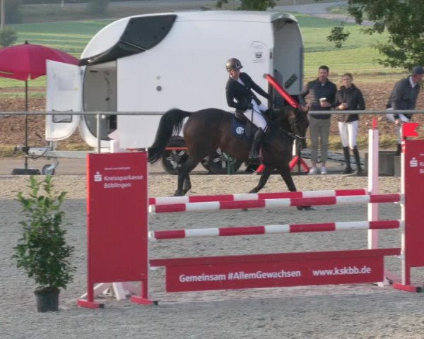 Reitturnier Ehningen 2020