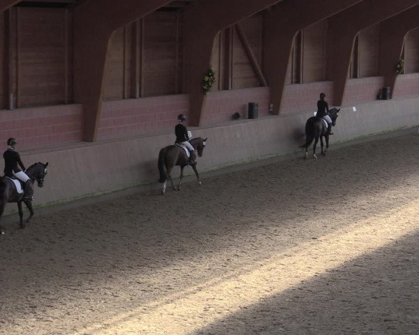 Reitturnier Dortmund-Barop 2020