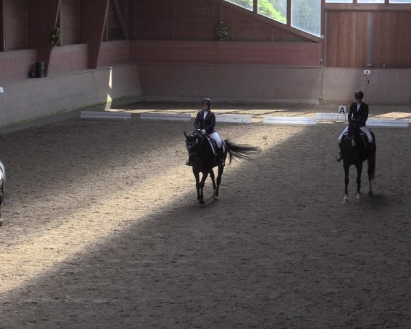 Reitturnier Dortmund-Barop 2020