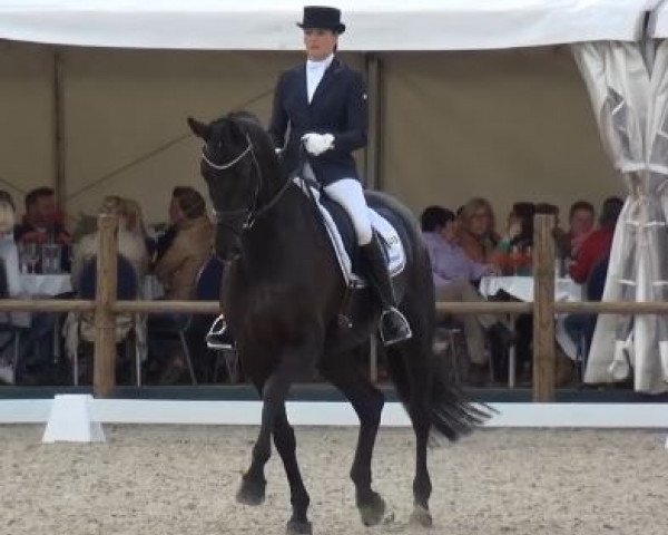 broodmare Lady Loxley M (Rhinelander, 2009, from Lord Loxley I)