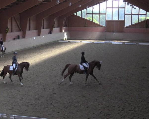 Reitturnier Dortmund-Barop 2020