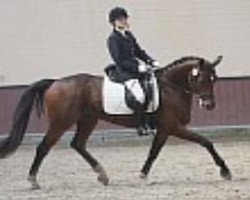 jumper Scipio 48 (unknown, 2004)