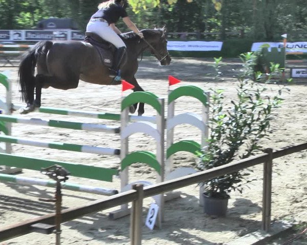 Reitturnier Walldorf/Winterheck 2020