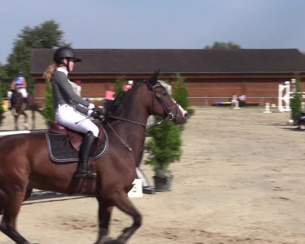 Reitturnier Dortmund-Barop 2020