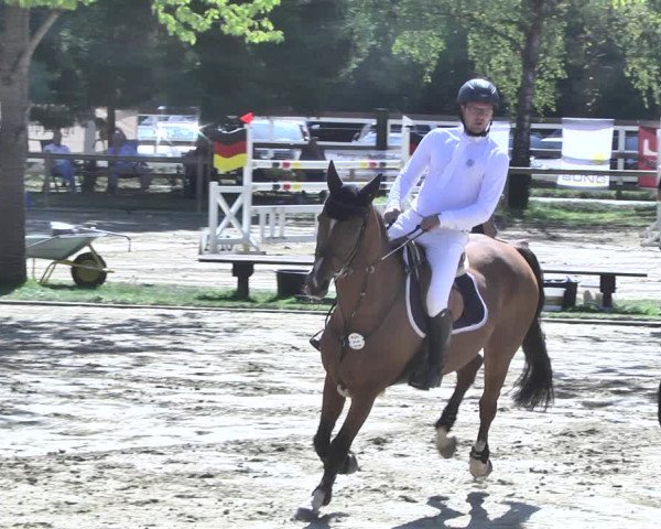 Reitturnier Walldorf/Winterheck 2020