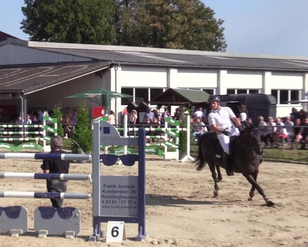 Reitturnier Dortmund-Barop 2020