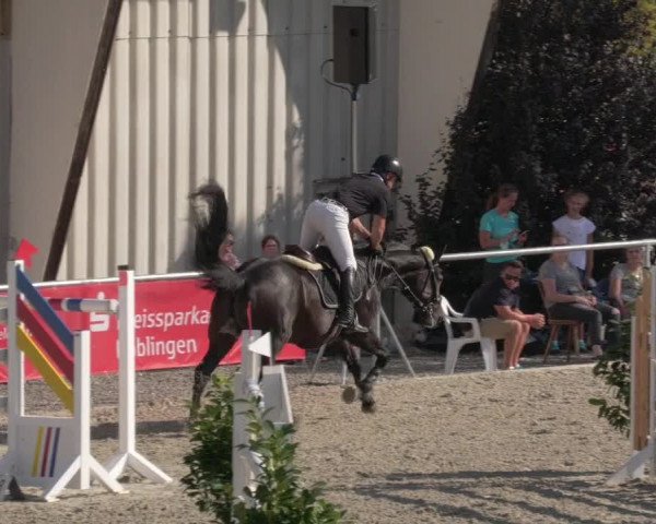 Reitturnier Ehningen 2020