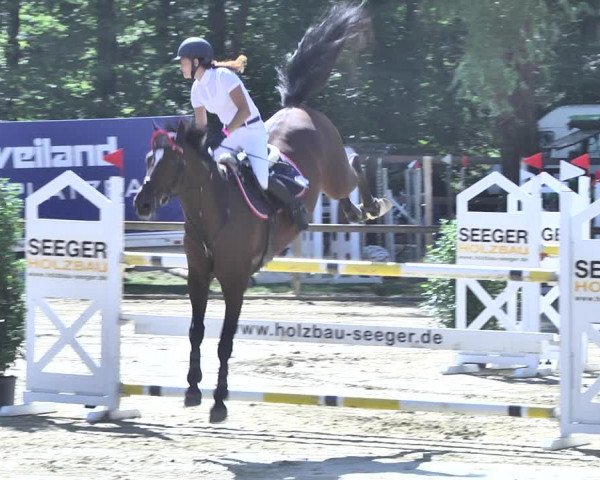 Reitturnier Walldorf/Winterheck 2020