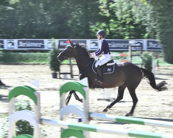 Reitturnier Walldorf/Winterheck 2020