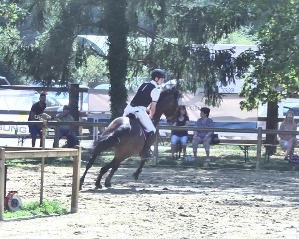 Reitturnier Walldorf/Winterheck 2020