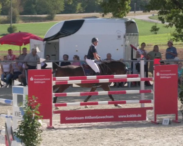 Reitturnier Ehningen 2020