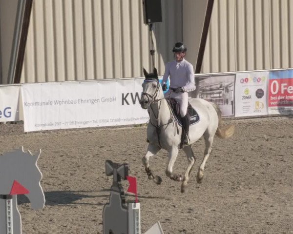 Reitturnier Ehningen 2020