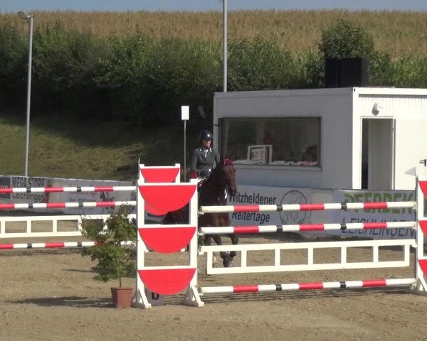 Reitturnier Leichlingen-Witzhelden 2020