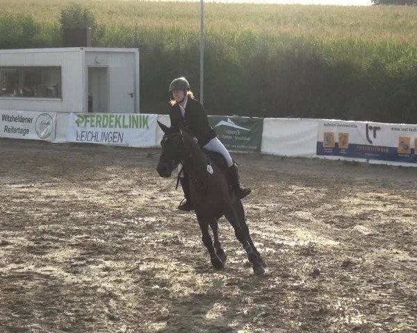 Reitturnier Leichlingen-Witzhelden 2020