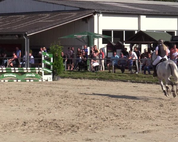 Reitturnier Dortmund-Barop 2020