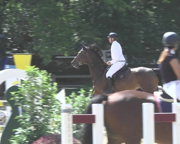 Reitturnier Walldorf/Winterheck 2020