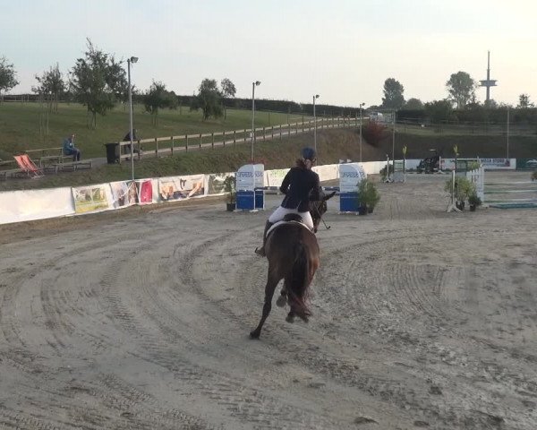 Reitturnier Leichlingen-Witzhelden 2020