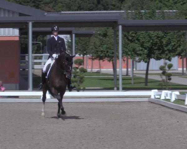 Reitturnier Gut Hohenkamp / Dorsten 2020