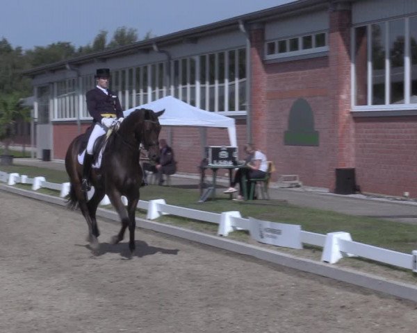 Reitturnier Gut Hohenkamp / Dorsten 2020