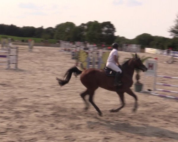 Reitturnier Oberfrauendorf 2020