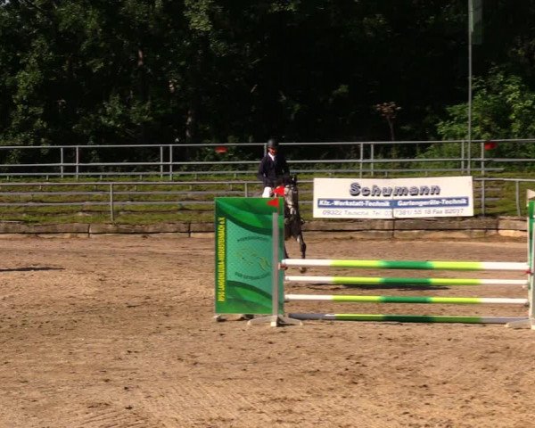 Reitturnier Lgl.-Oberhain, B95 2020
