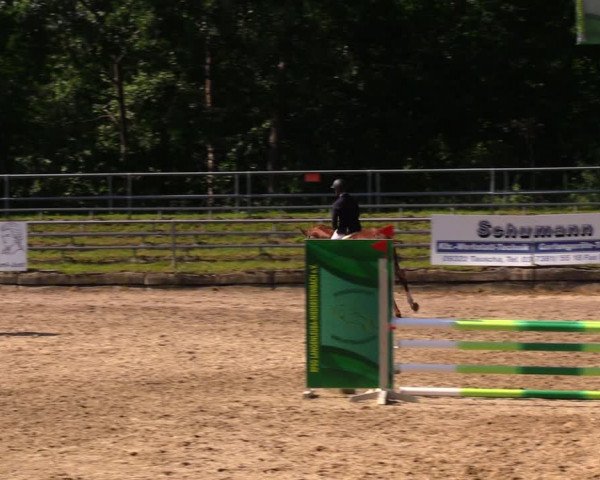 Reitturnier Lgl.-Oberhain, B95 2020