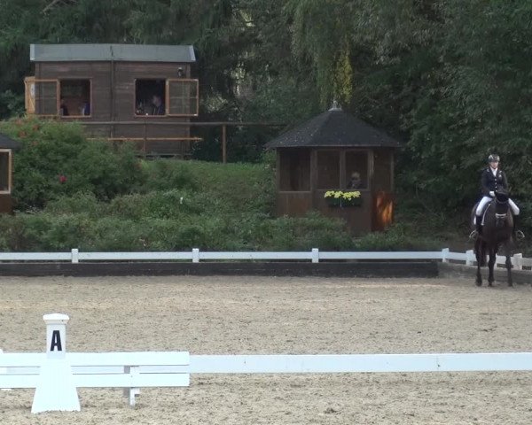 Reitturnier Mettmann - Reitanlage Löckenhoff 2020