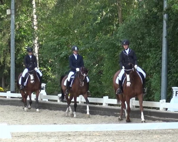 Reitturnier Mettmann - Reitanlage Löckenhoff 2020