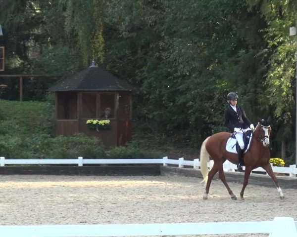 Reitturnier Mettmann - Reitanlage Löckenhoff 2020