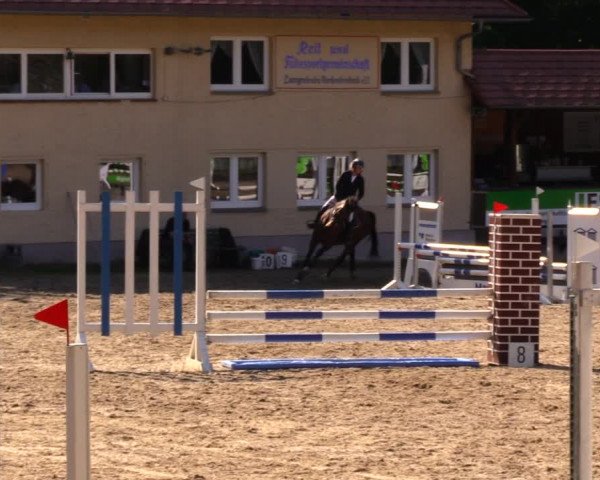 Reitturnier Lgl.-Oberhain, B95 2020