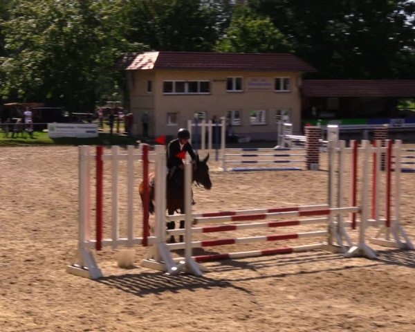 Reitturnier Lgl.-Oberhain, B95 2020
