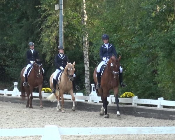 Reitturnier Mettmann - Reitanlage Löckenhoff 2020