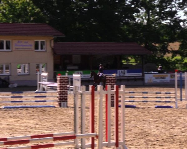 Reitturnier Lgl.-Oberhain, B95 2020