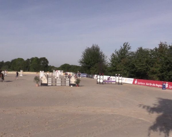 Reitturnier Oberfrauendorf 2020