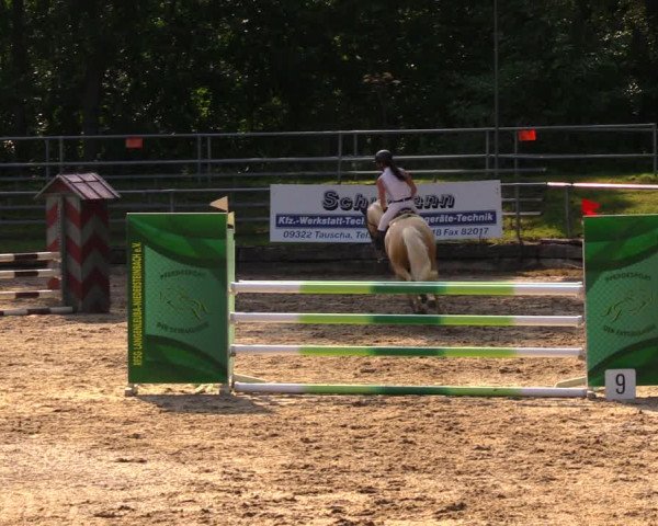 Reitturnier Lgl.-Oberhain, B95 2020