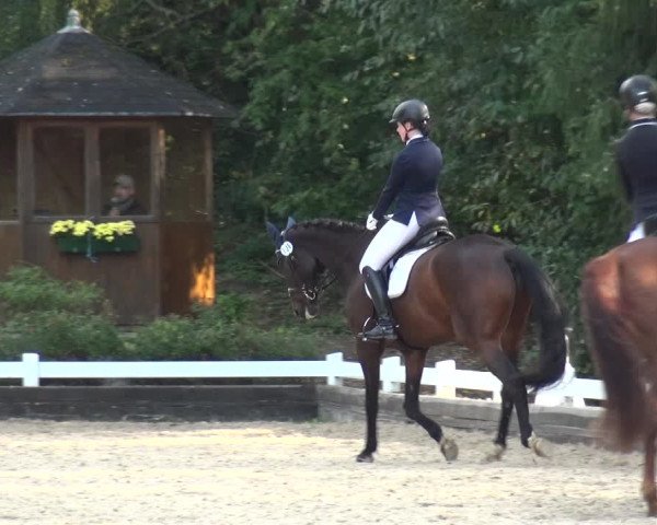 Reitturnier Mettmann - Reitanlage Löckenhoff 2020