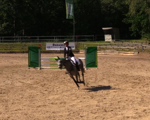 Reitturnier Lgl.-Oberhain, B95 2020