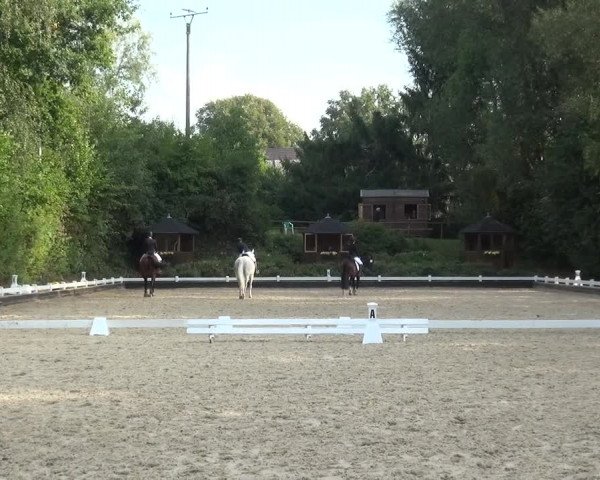 Reitturnier Mettmann - Reitanlage Löckenhoff 2020