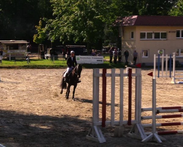 Reitturnier Lgl.-Oberhain, B95 2020