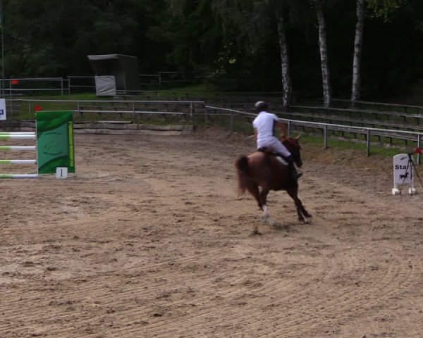 Reitturnier Lgl.-Oberhain, B95 2020