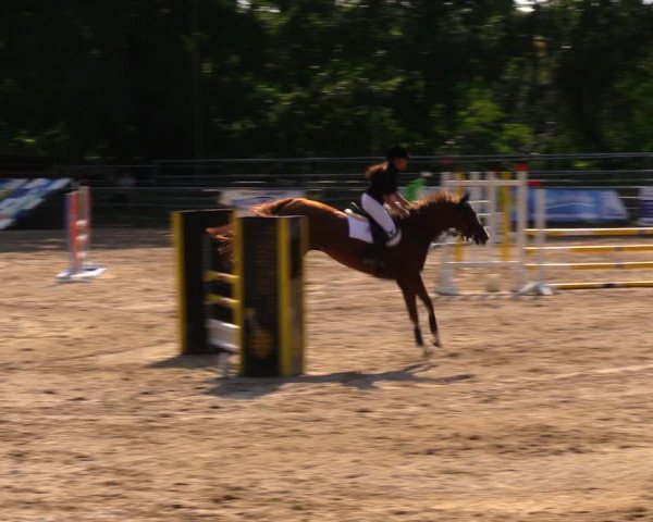 Reitturnier Lgl.-Oberhain, B95 2020