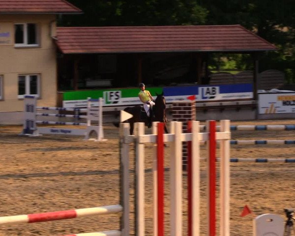 Reitturnier Lgl.-Oberhain, B95 2020