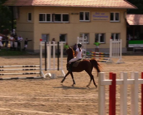 Reitturnier Lgl.-Oberhain, B95 2020