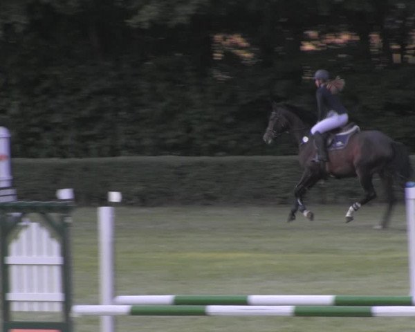 Reitturnier Westeregeln 2020