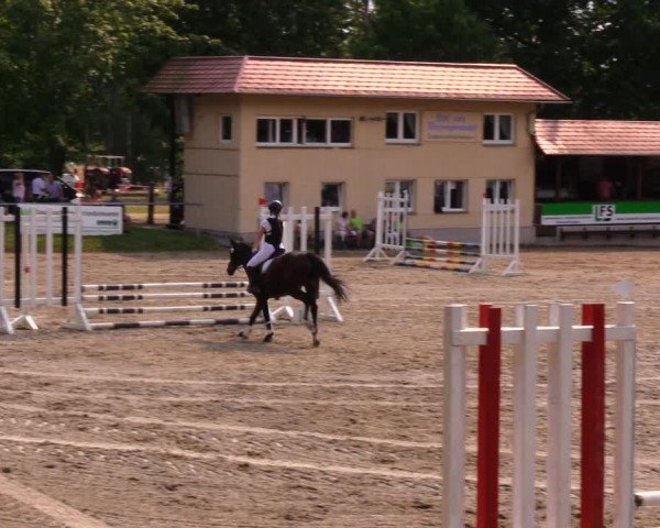Reitturnier Lgl.-Oberhain, B95 2020