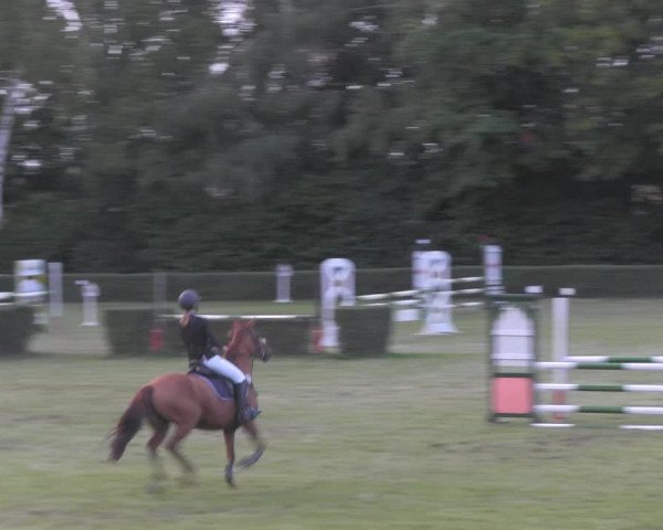 Reitturnier Westeregeln 2020
