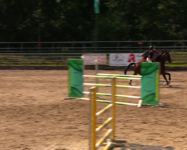 Reitturnier Lgl.-Oberhain, B95 2020