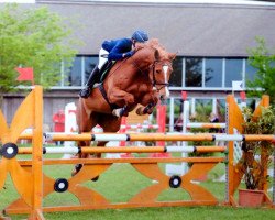 broodmare Cherry Lady (Oldenburg, 2008, from Chacco-Blue)