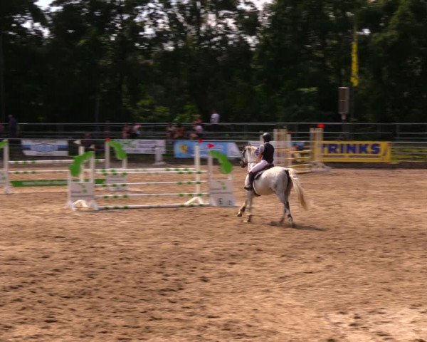 Reitturnier Lgl.-Oberhain, B95 2020