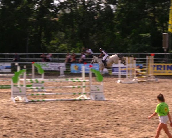 Reitturnier Lgl.-Oberhain, B95 2020